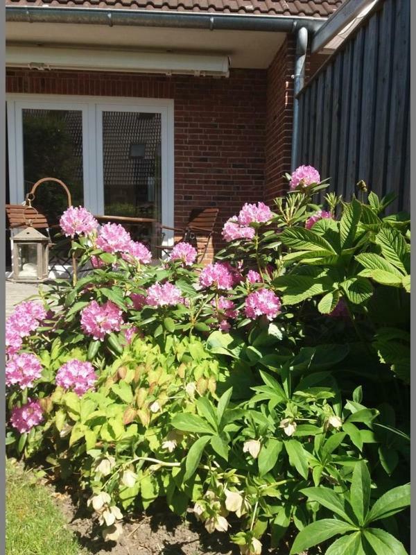 Ferienhaus Richard Vila Husum  Exterior foto